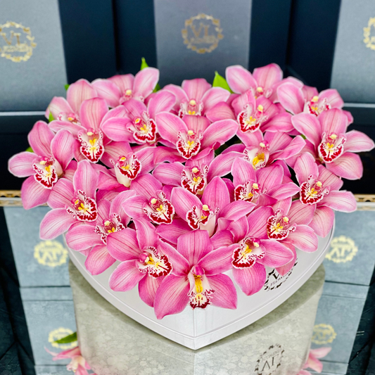 Cymbidium Heart