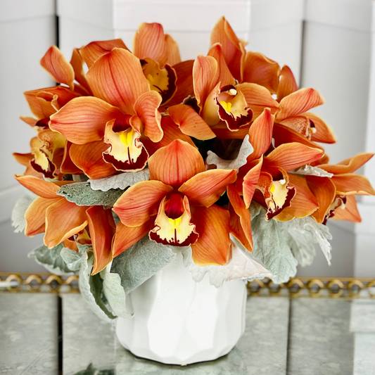 Delicate Cymbidium