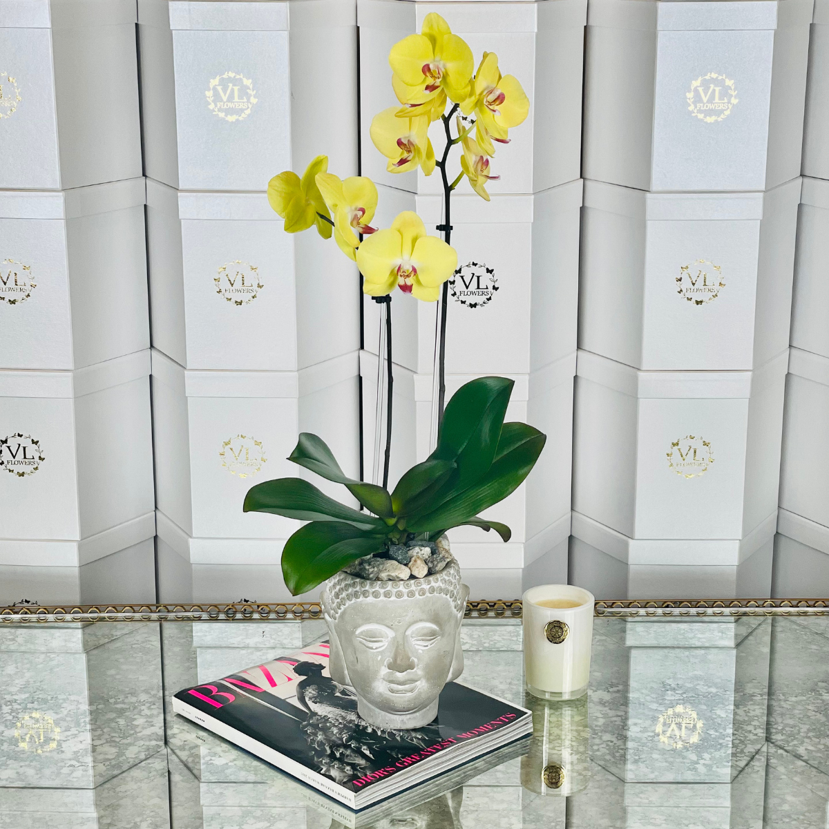 The Zen Orchid